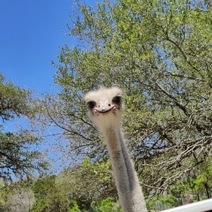 Meet your Posher, Gerardo